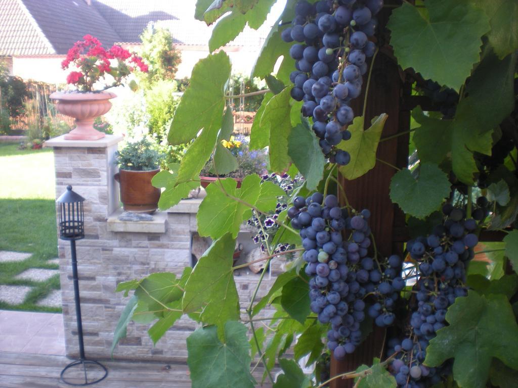 Sophia Cozy Self Catering Apartment Dolni Brezany Exterior foto