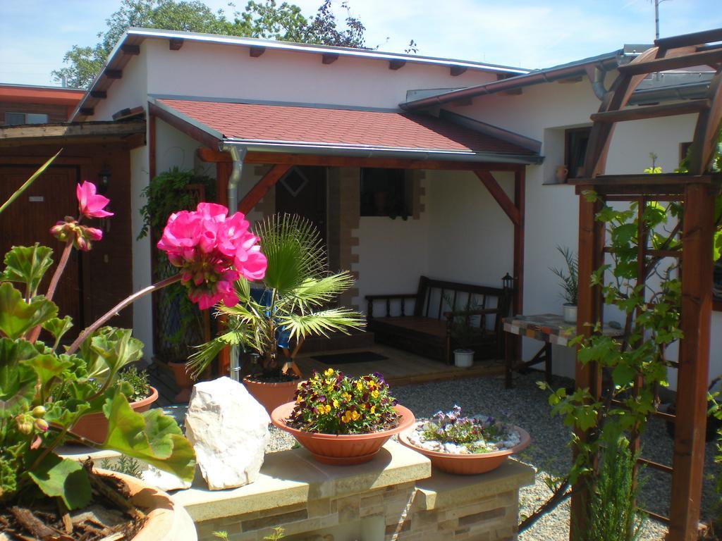 Sophia Cozy Self Catering Apartment Dolni Brezany Exterior foto