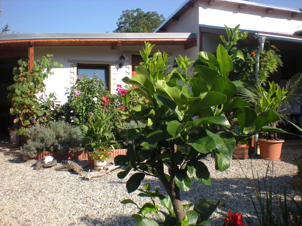 Sophia Cozy Self Catering Apartment Dolni Brezany Exterior foto